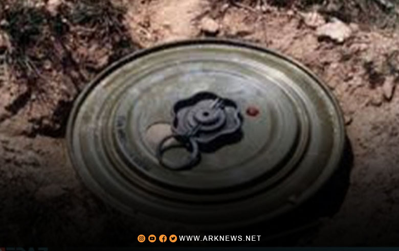 834 victims... Syria records the largest number of victims of mines and war remnants