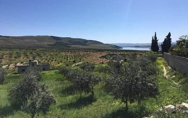 Afrin ... Cutting down more than a million trees since Turkey and armed groups entered the Afrin region