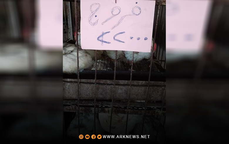 ديرك.. بين ليلة وضحاها قفز سعر كيلو الفروج من 20500 إلى 22000 ليرة سورية