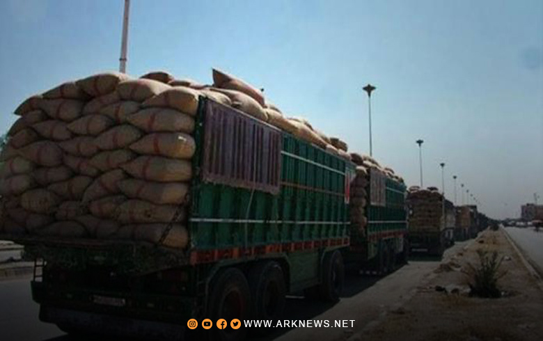 The Syrian Democratic Forces (SDF) supply wheat to the Syrian regime for 36 US cents