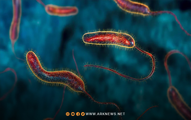 Recording hundreds of suspected cases of cholera in northwestern Syria