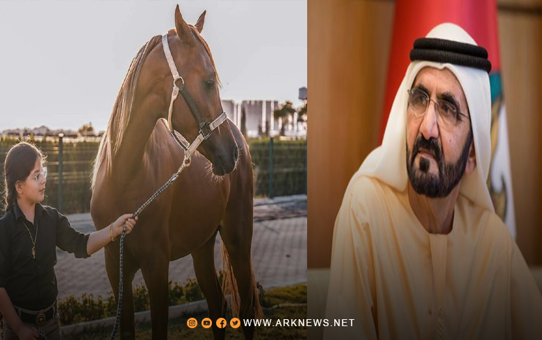 Sheikh Mohammed bin Rashid Al Maktoum presents the youngest Kurdish female rider with 10 purebred Arabian horses