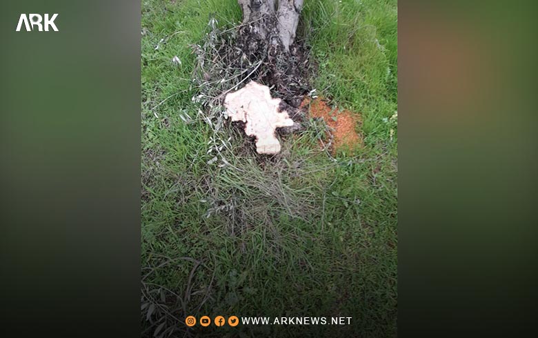 Sultan Murad gunmen cut down a number of trees in Afrin