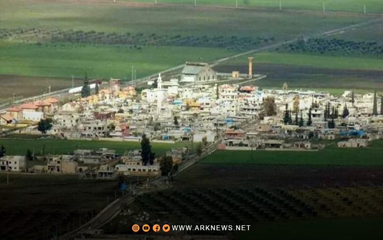 Afrin... Uprooting and uprooting 150 fruitful olive trees in Rajo town