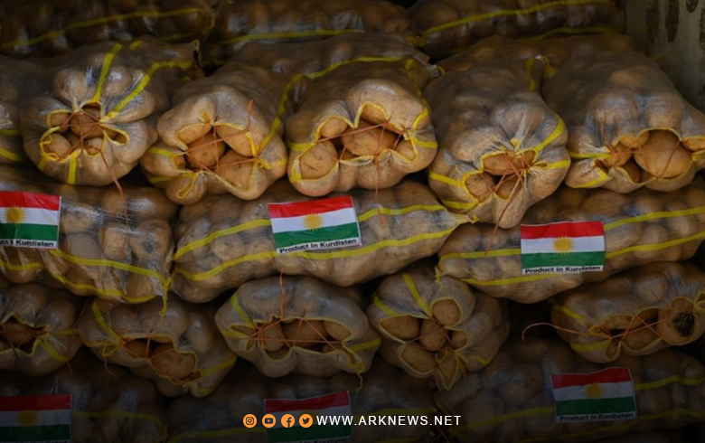 إقليم كوردستان يصدر البطاطا إلى جنوب إفريقيا