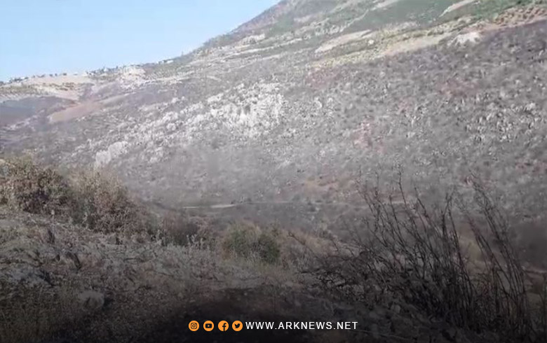 Efrîn.. Agir bi dehan darên zeytûnan li navçeya Bilbilê ket