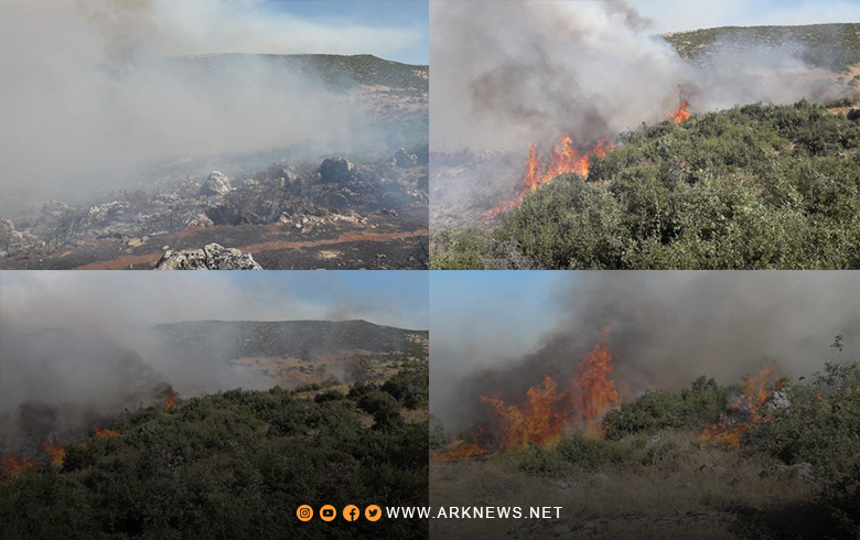 Afrin.. Fires devour hundreds of forest and fruit trees in Rajo town