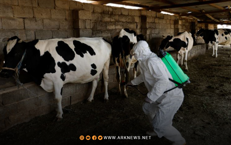 تسجيل أول حالة إصابة بالحمى النزفية في إقليم كوردستان 