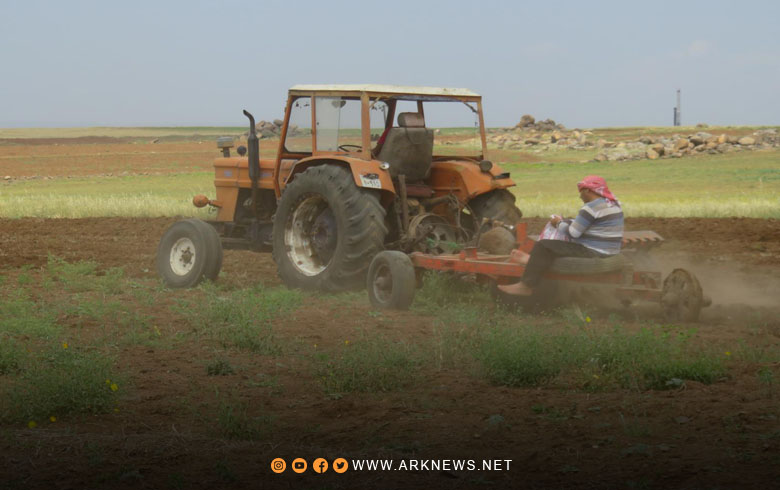 Extremely high prices for seeds, and the wages of plowing and agriculture in Syrian Kurdistan
