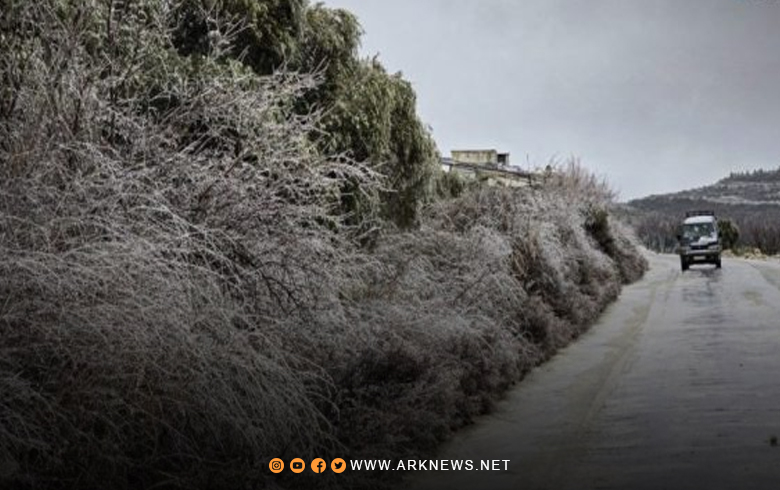 سوريا.. الطقس بارد ليلا وتحذيرات من تشكل الصقيع والضباب 