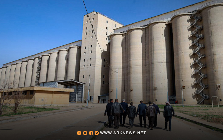 Syrian Grains Corporation Raises Silo Readiness Ahead of Wheat Harvest Intake