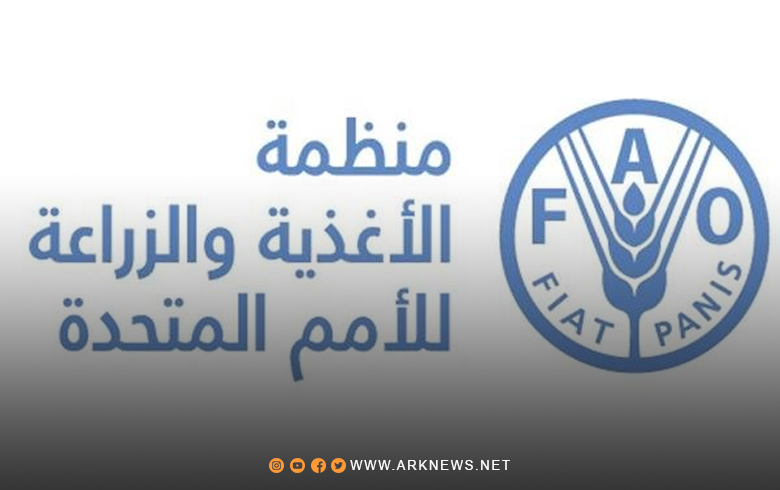 الفاو تحذر من أزمة الأمن الغذائي في سوريا 