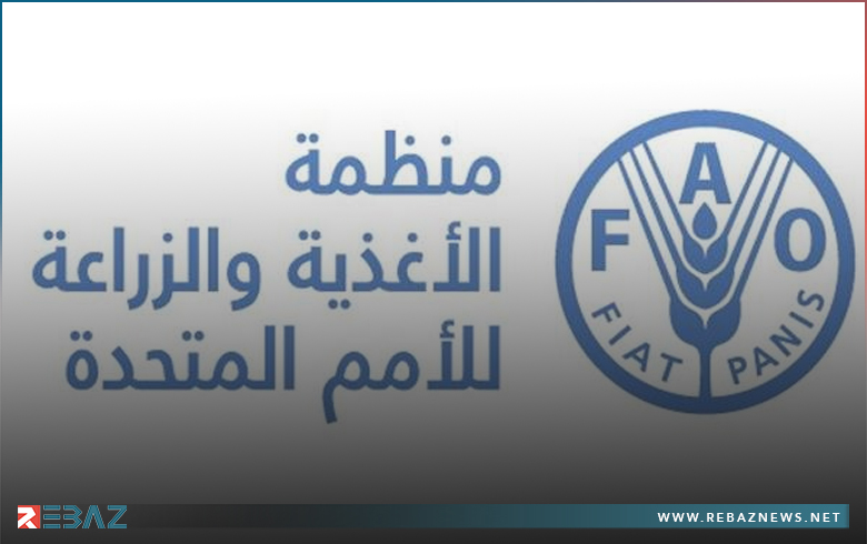 أكثر من 500 مليون شخص يعانون الجوع في العالم 