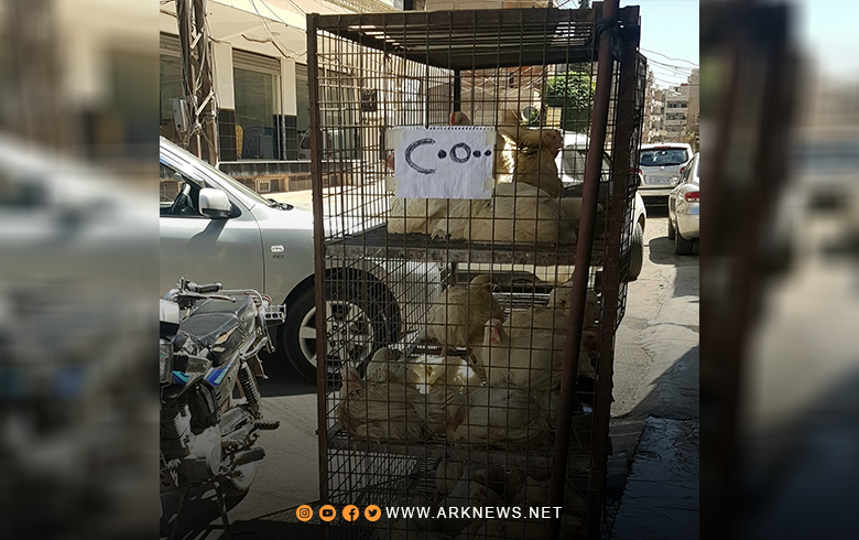 قامشلو.. لشراء فروج واحد, عليك بدفع أكثر من 70000 ليرة سورية 