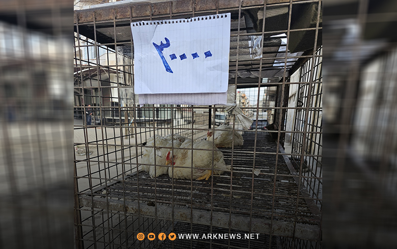 Qamishlo... A kilo of chicken reaches 30 thousand Syrian pounds