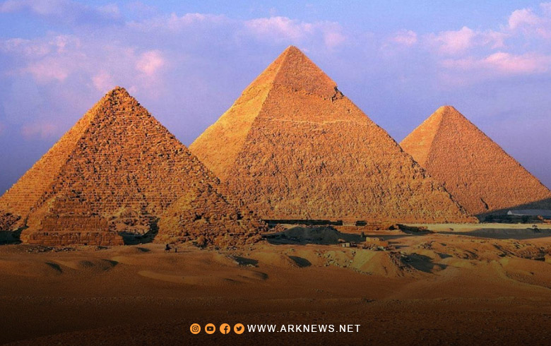 دراسة تكشف سر صمود 