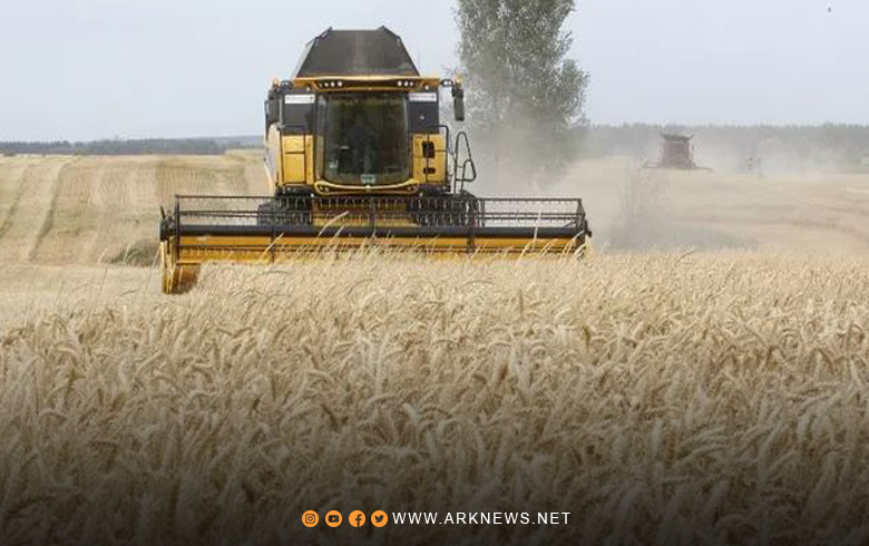 Despite the war, Ukraine confirms that it has stored grain worth 7.5 billion dollars available for export