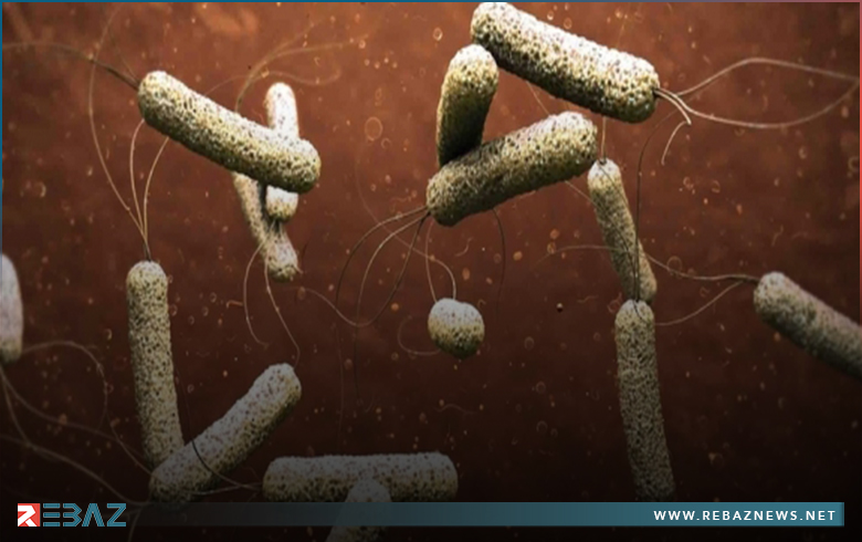 الصحة العالمية تحذر من ازدياد معدلات الوفيات بمرض الكوليرا