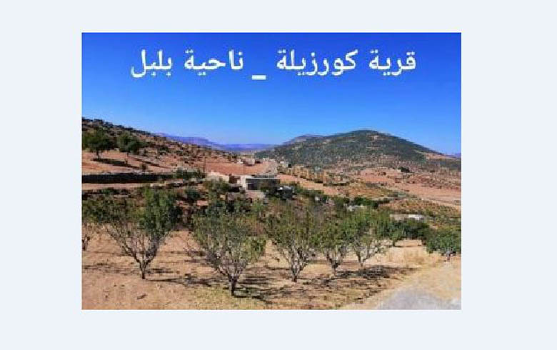 Afrin… Armed thieves with military vehicles