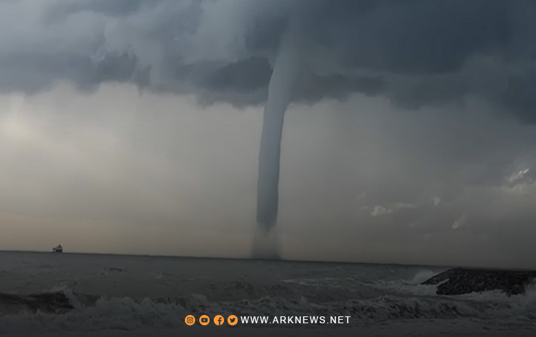 اللاذقية.. تنين بحري يضرب ساحة السمك ومخاوف احترار مياه البحر المتوسط