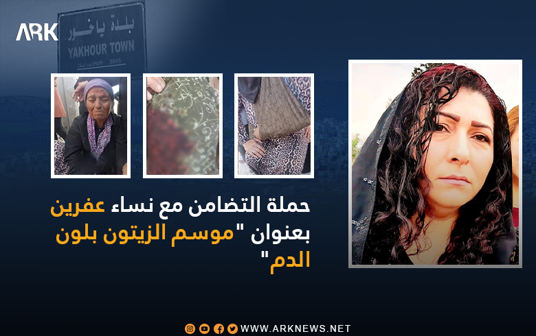 حملة التضامن مع نساء عفرين.. الناشطة تورين شمدين