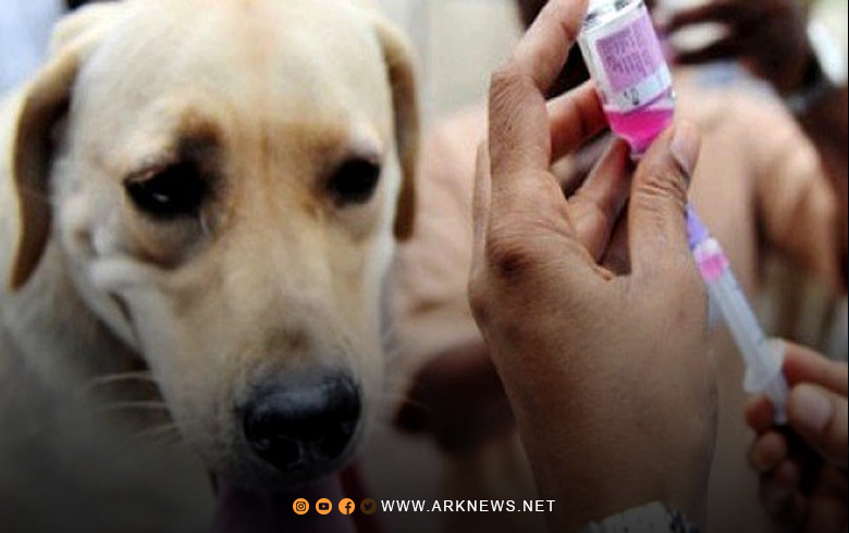 وصول مضادات لـ 