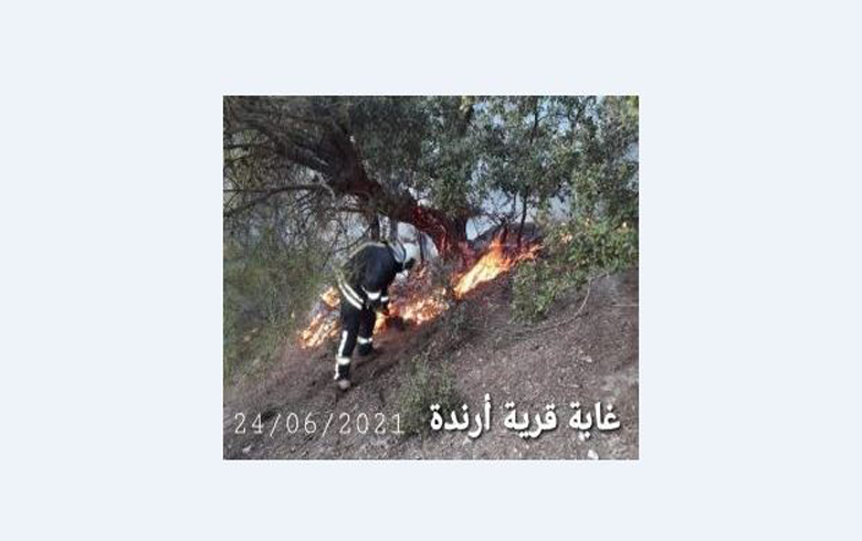 Afrin… Thieves impose royalties under the name of “tax-ransom” and settlers, savage shepherds, plunder Kurdish property