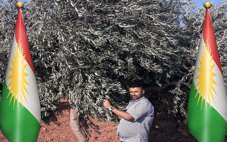 Elements of al-Amshat harvest one olive field in Qarmitlq village by force