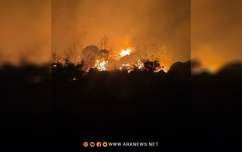 اندلاع الحرائق في أحراش إحدى نواحي مدينة عفرين 