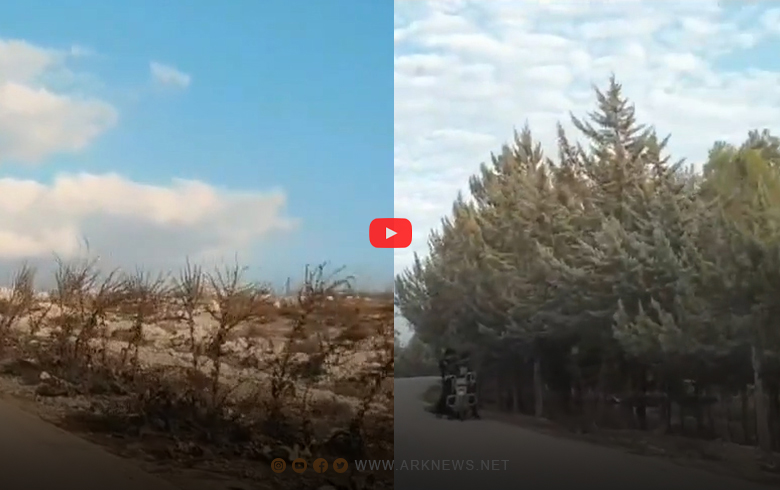 Komên çekdar daristanên gundê Qurt Qulaq yê Efrînê kirin biyaban	