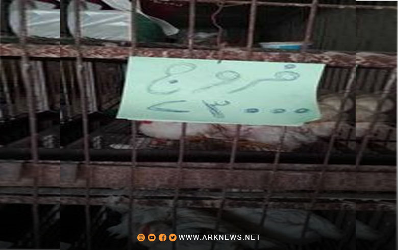 Derik... the price of one chicken is more than 70,000 Syrian pounds, and the people are complaining