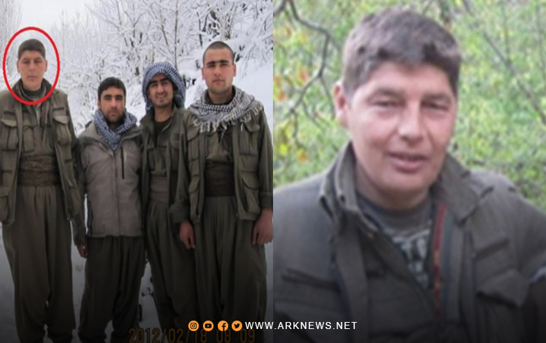 تركيا تعلن مقتل أحد قياديي الـPKK في مدينة قامشلو  تركيا تعلن مقتل أحد قياديي الـPKK في مدينة قامشلو