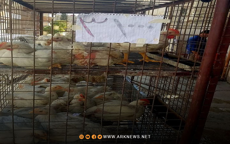كوباني.. سعر الفروج الواحد يصل إلى أكثر من 100 ألف ليرة سورية والأهالي يشتكون