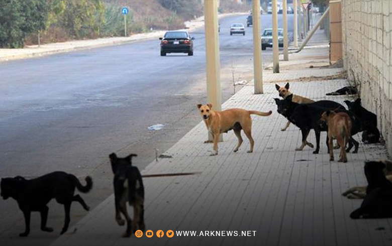 ظواهر غريبة تنتشر في العاصمة السورية دمشق 