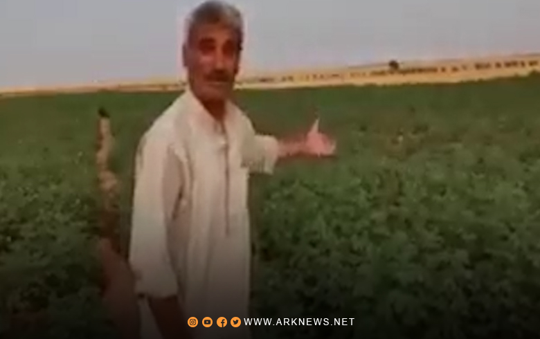 Cotkarekî Kobanê: Berpirsên PYD ji me re dibêjin derkevin û bibin penaber	