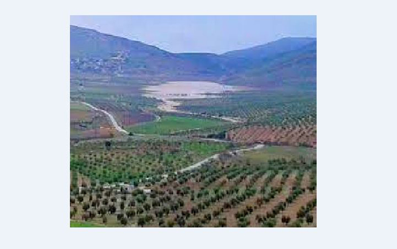Afrin… Violations and acts of the Syrian “national” army