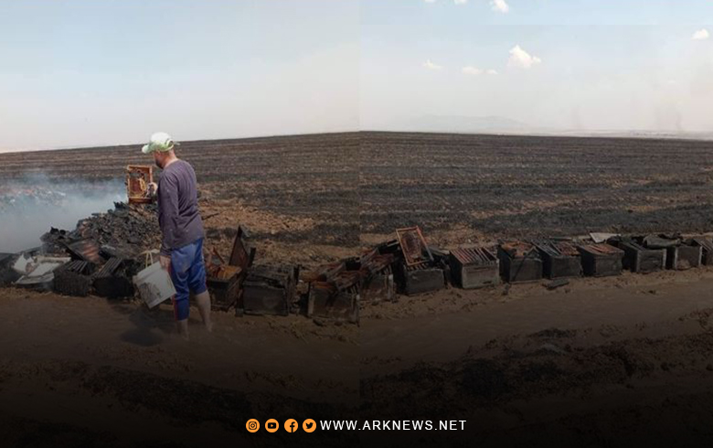 ديرك.. الحرائق العشوائية تلحق خسائر بالغة بأحد مربي النحل 