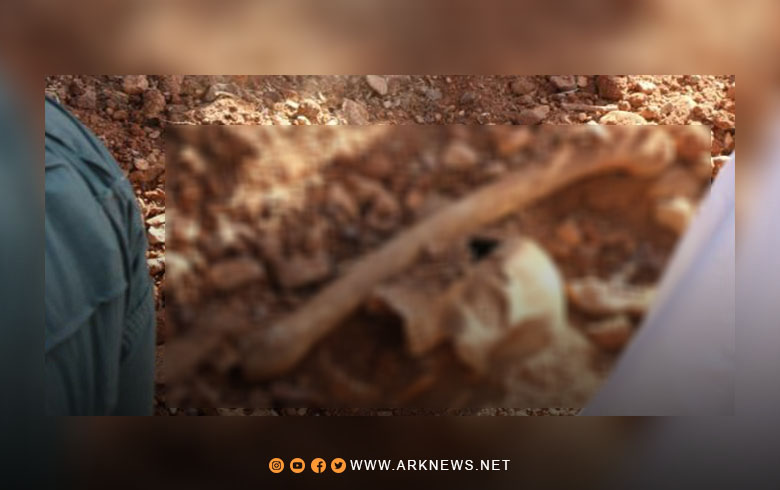 العثور على مقبرة جماعية بريف حماة الشرقي 