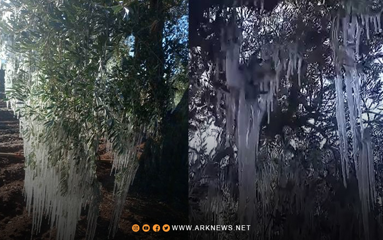 سوريا تشهد موجة صقيع تستمر إلى يوم السبت القادم 