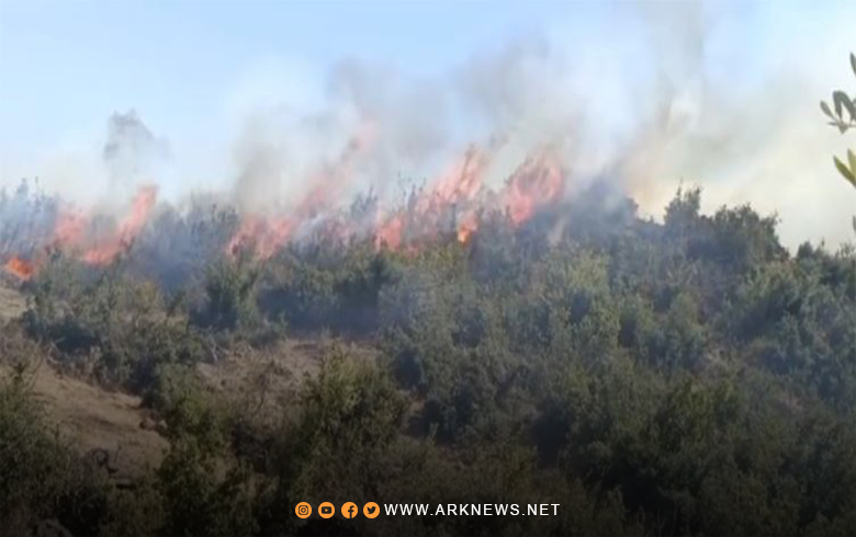 النيران تلتهم الغطاء النباتي والأشجار المثمرة والحراجية في جبل هاوار بعفرين