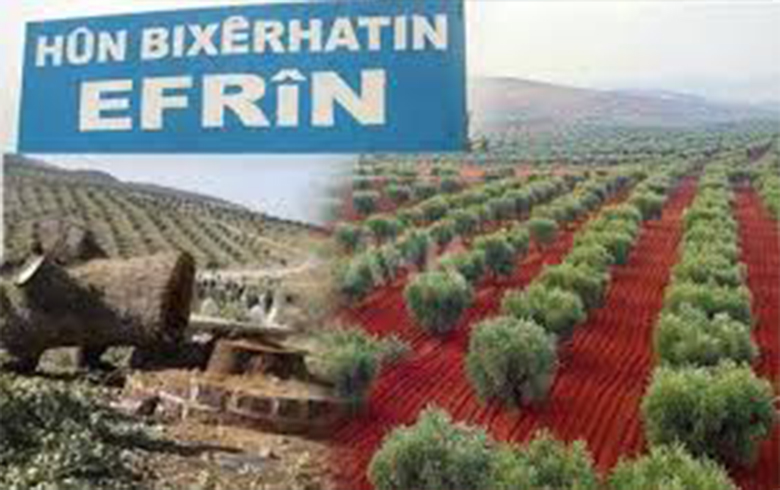 دوه ته‌رمێ كه‌چكێ ل ناڤ زه‌ڤیێن گوندێن عە‌زازێ ل سه‌ر سینۆرێ عە‌فرینا رۆژاڤایێ كوردستانێ هاته‌ دیتن