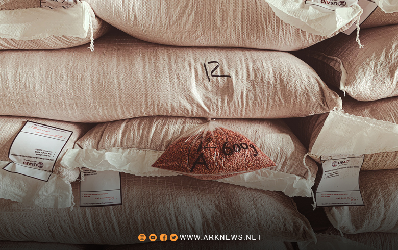 The wheat seed that America provided to farmers in northeastern Syria has undergone a quality test