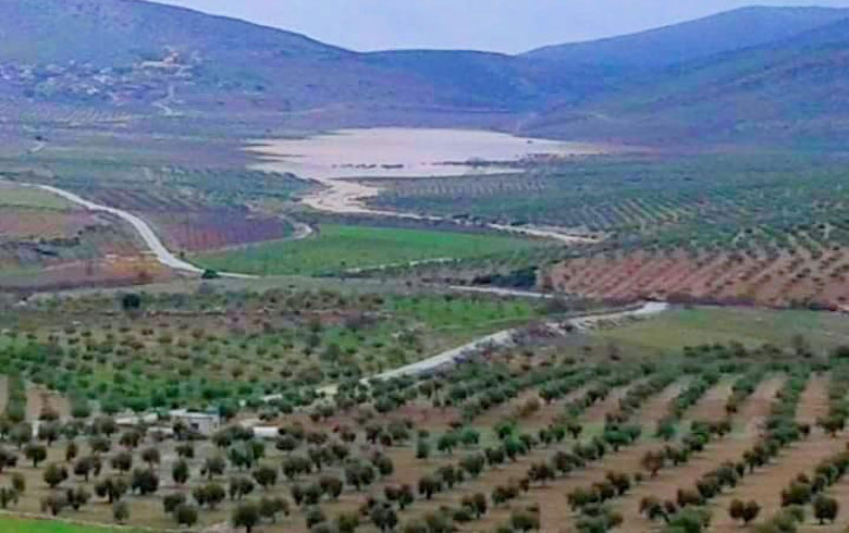  Afrin ... Armed groups with the  help of Turkish army continue in their violations