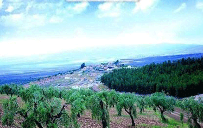 Afrin … inspection campaign of Turkish troops to pursue members of the armed factions and Arabs displaced