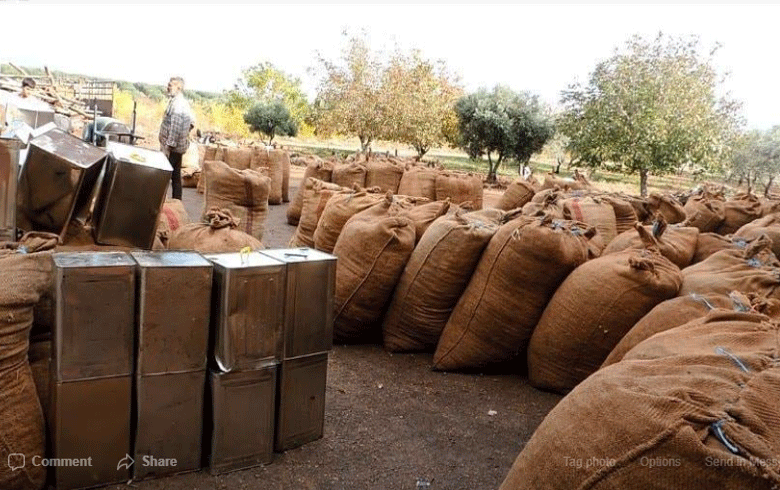 Afrin ... Militias of the  armed groups attack the olive oil press and plunder1,500 containers