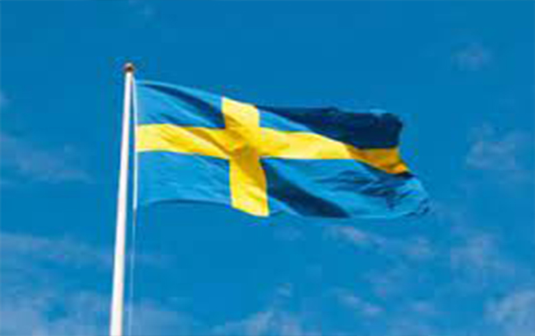 Sweden calls for a joint army with its neighbors to protect the northern regions