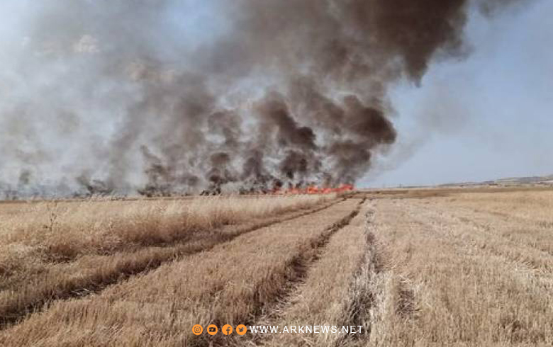 The bombing of the Assad regime burns hundreds of agricultural dunums in Sahl al-Ghab