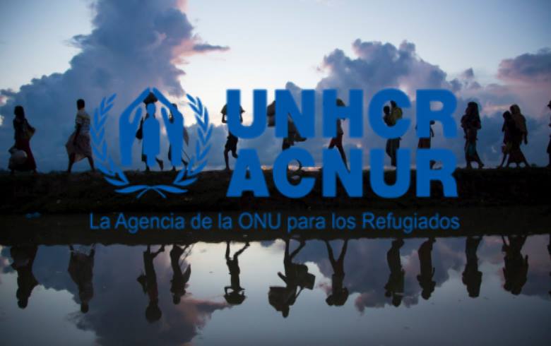 الأمم المتحدة تطلق حملة “2 مليار كيلومتر نحو الأمان” وتدعو للتضامن مع اللاجئين