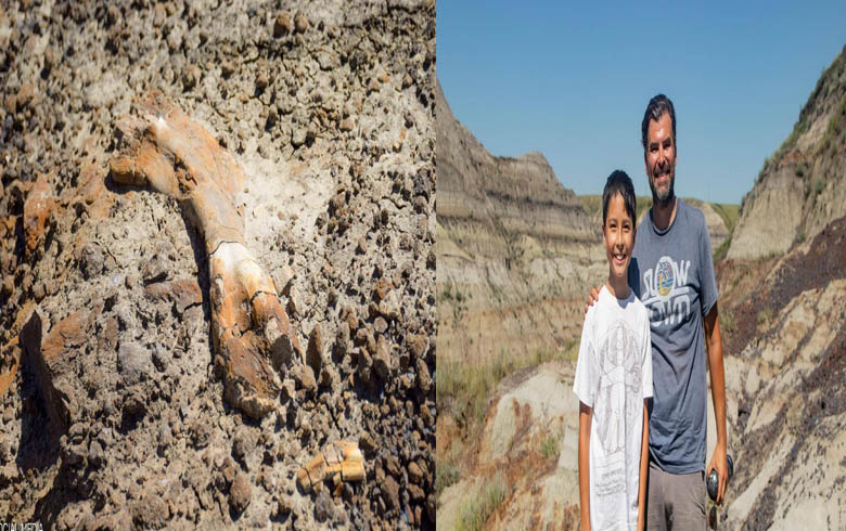 صبي يكتشف حفريات لعظام ديناصور عمرها أكثر من 69 مليون عاما