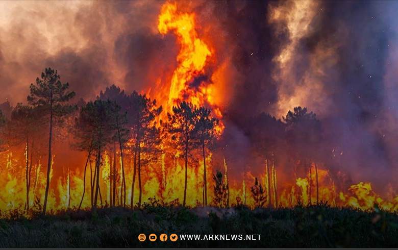 الحرائق تفتك بالغابات وتجلي الآلاف في فرنسا